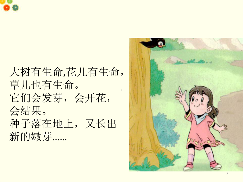 《花儿草儿真美丽》教案课件.ppt_第3页