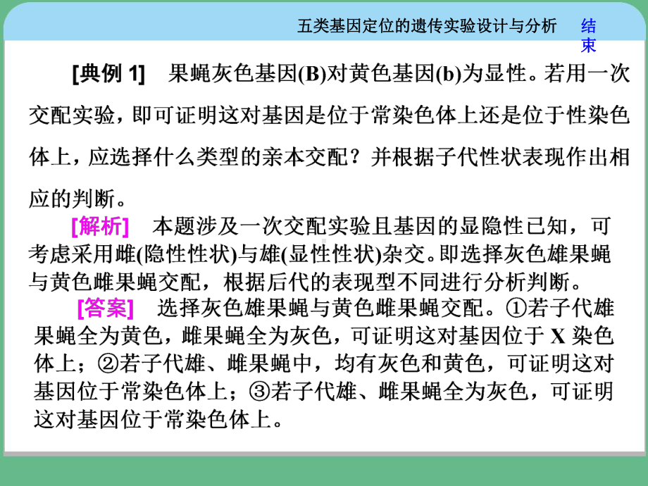 基因定位的遗传实验设计与分析只是分享课件.ppt_第3页