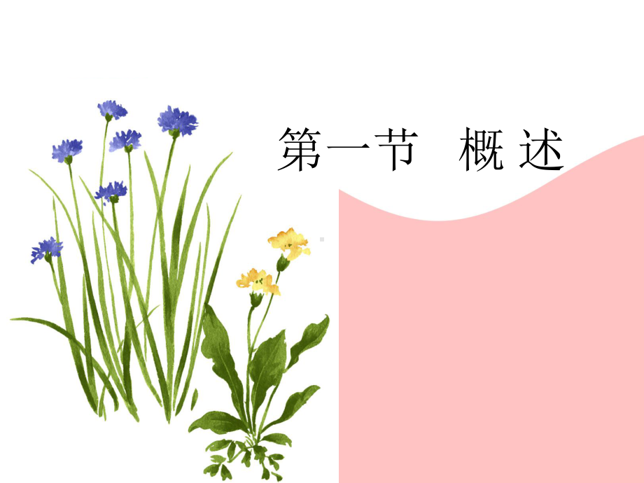 老年人的临终护理课件.ppt_第3页