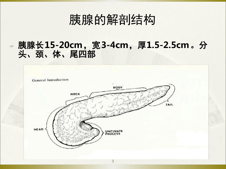 急性重症胰腺炎的观察护理参考教学课件.ppt_第3页