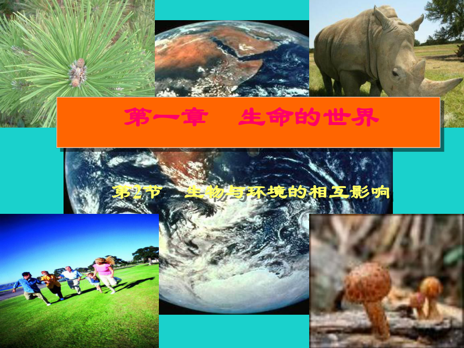 七年级生物上册第一章第二节生物与环境的相互影响课件北师大版.ppt_第1页