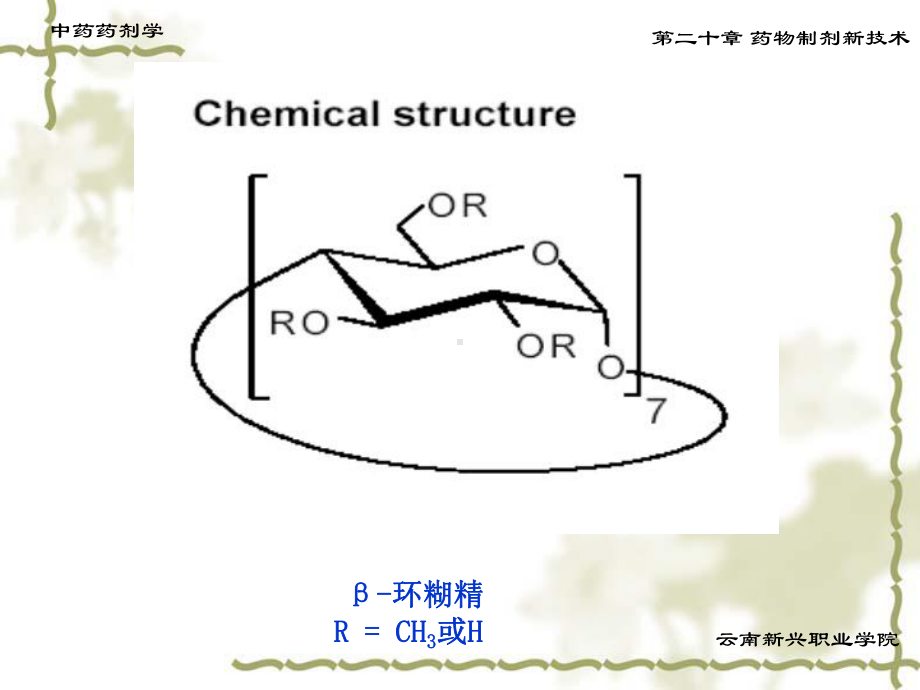 第二十章药物制剂新技术资料课件.ppt_第3页