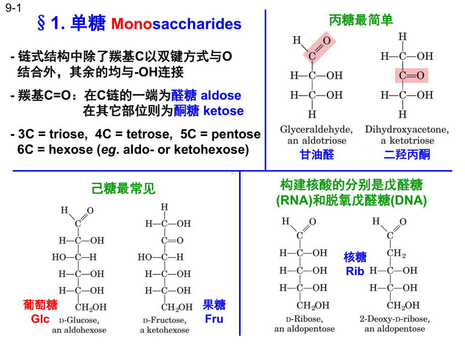 生物化学-糖类课件.ppt_第3页