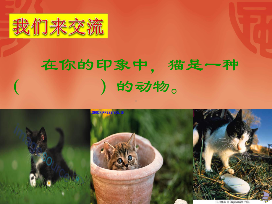 老舍《猫》课件资料.ppt_第2页