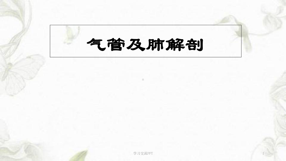 支气管及肺解剖课件.ppt_第1页