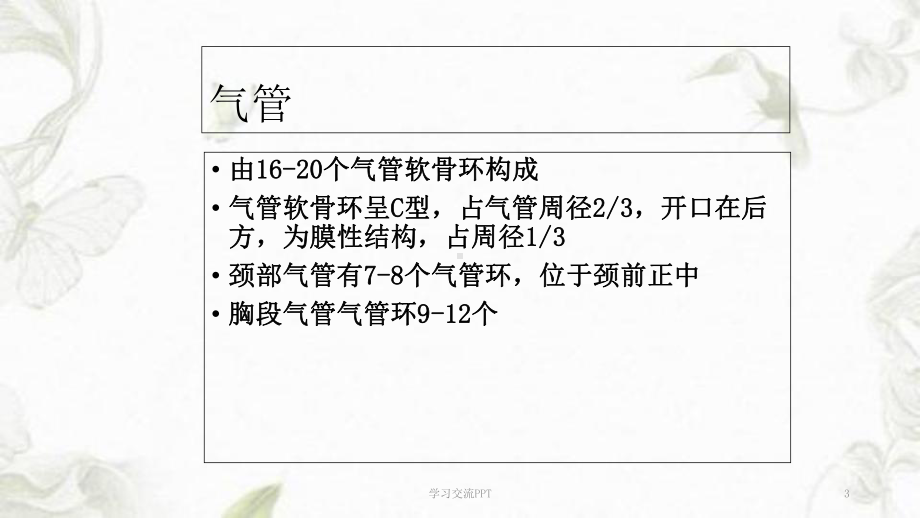 支气管及肺解剖课件.ppt_第3页