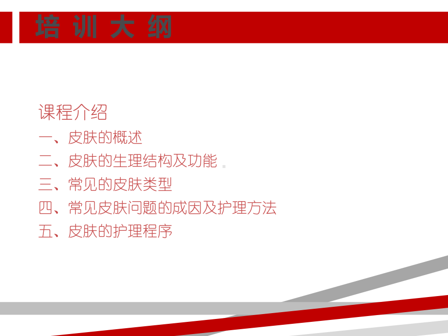 皮肤基本知识培训课件.ppt_第2页