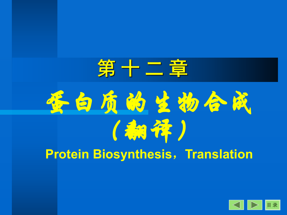 第12章翻译课件.ppt_第1页