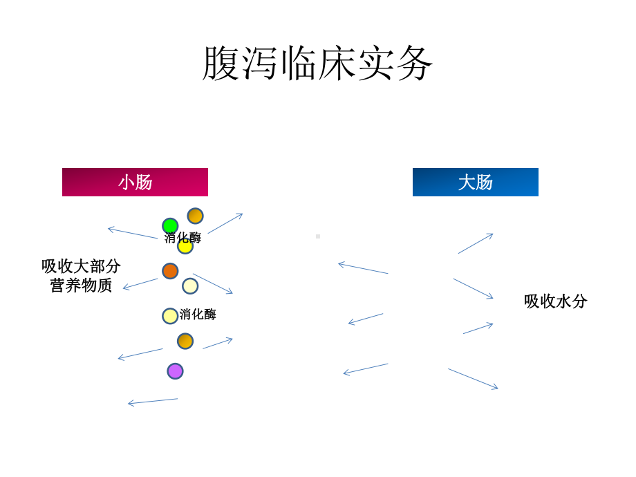 肠道营养培训课件.ppt_第1页