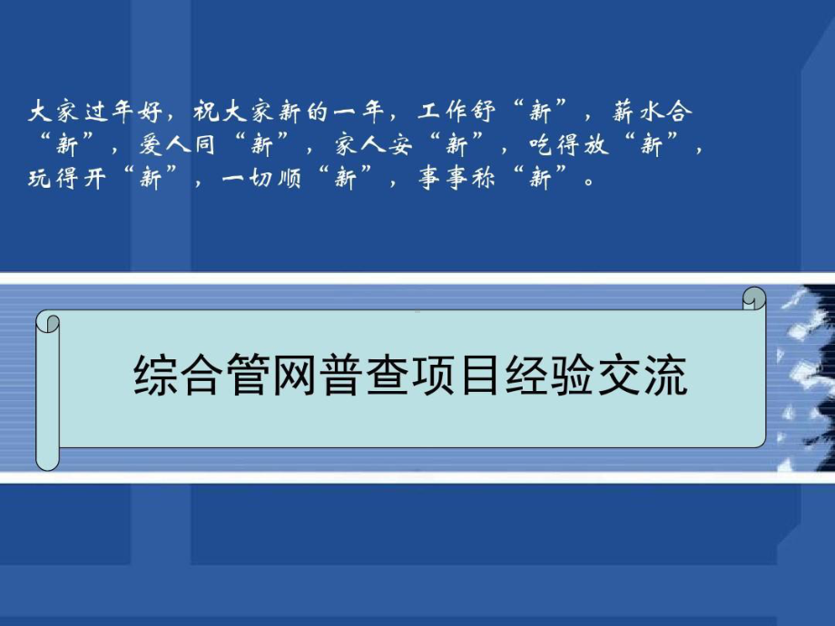 综合管网普查项目经验交流概述课件.ppt_第2页