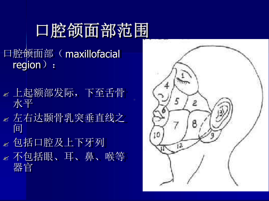 口腔颌面部解剖概述课件.ppt_第2页