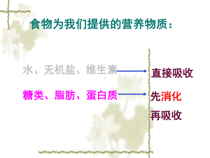 第二节食物的消化1、食物在口腔中的消化我课件.ppt