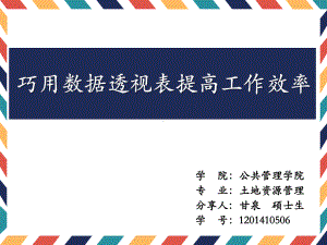 巧用数据透视表提高工作效率学院课件.ppt