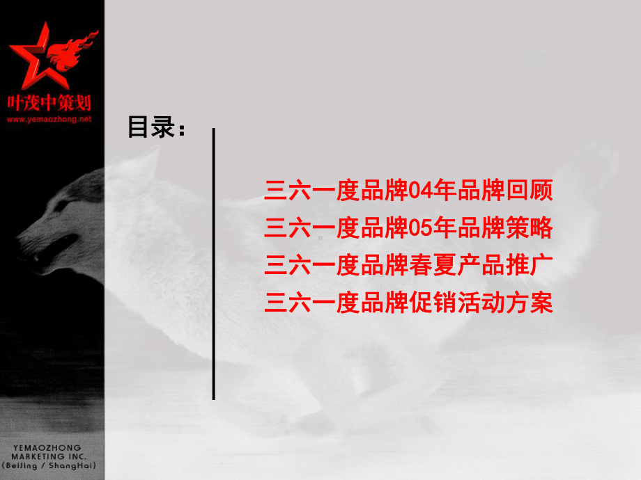 某公司年度品牌推广方案课件.ppt_第3页