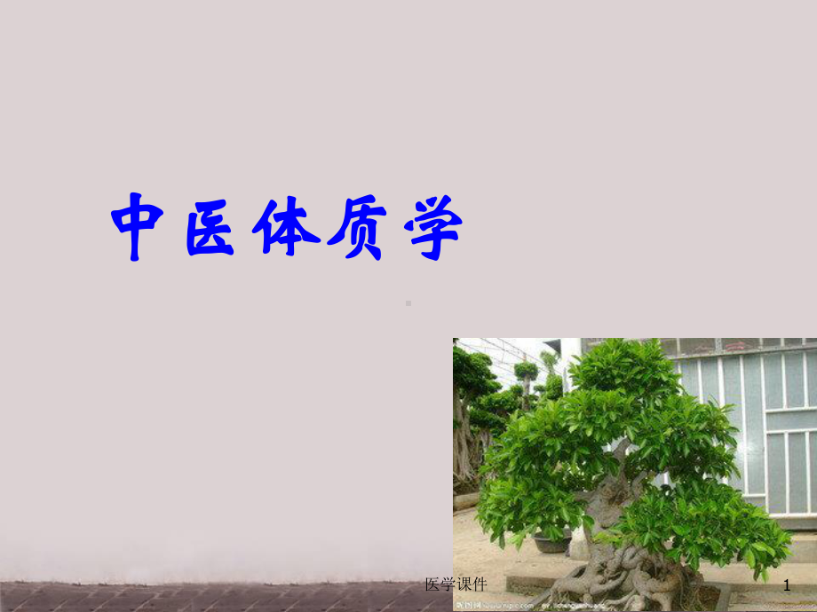 中医体质学-课件.ppt_第1页