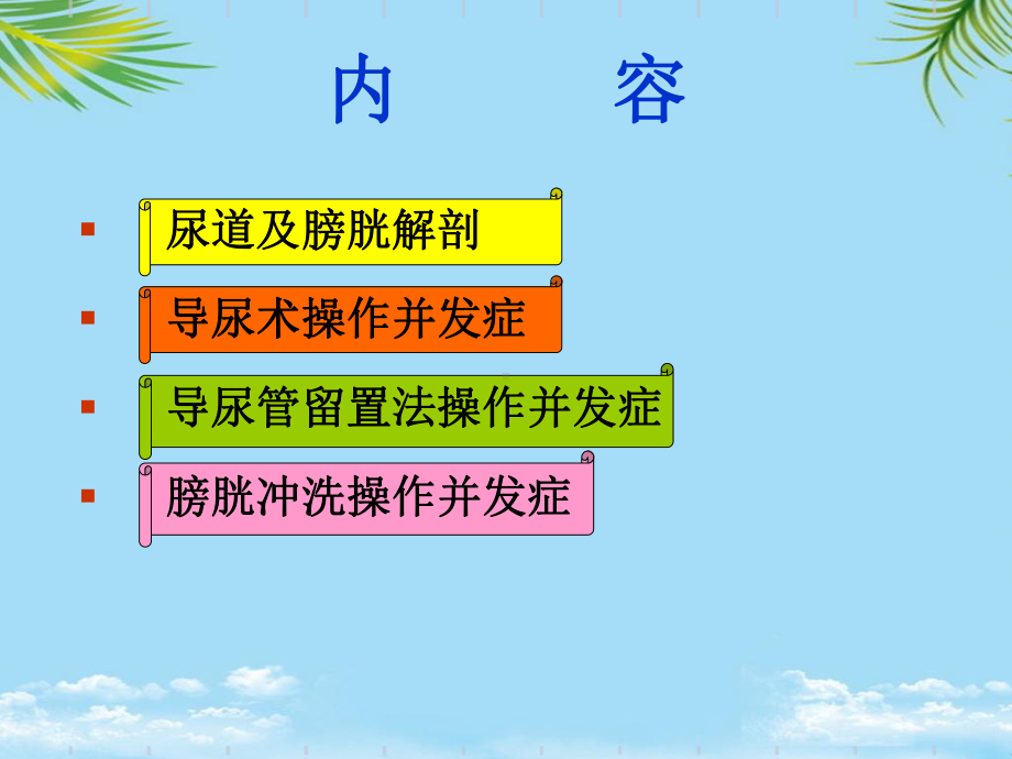 （精）导尿术操作并发症课件.ppt_第2页