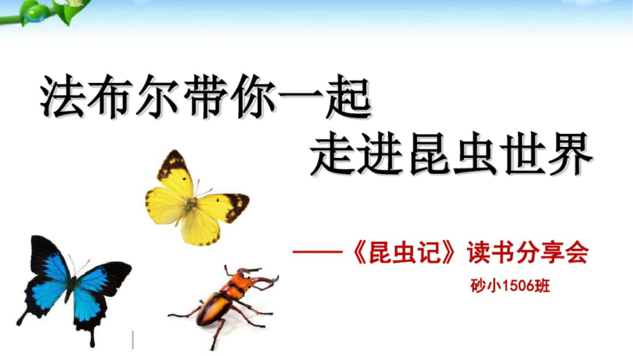 《昆虫记》读书分享会课件.ppt_第1页