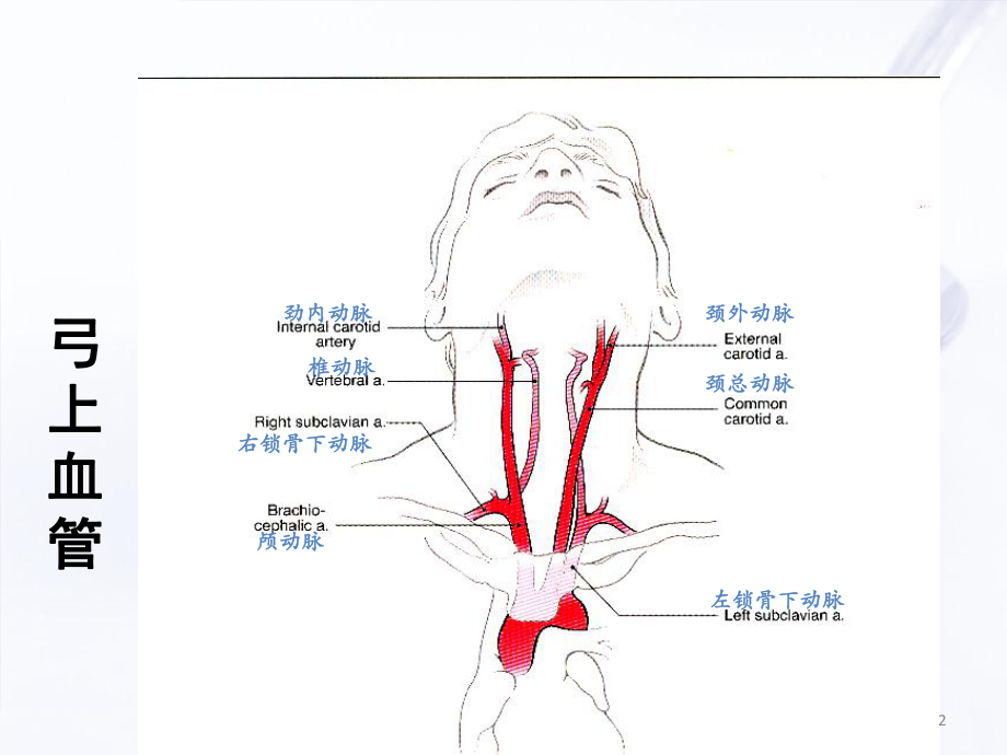 卒中培训学习课件.ppt_第2页