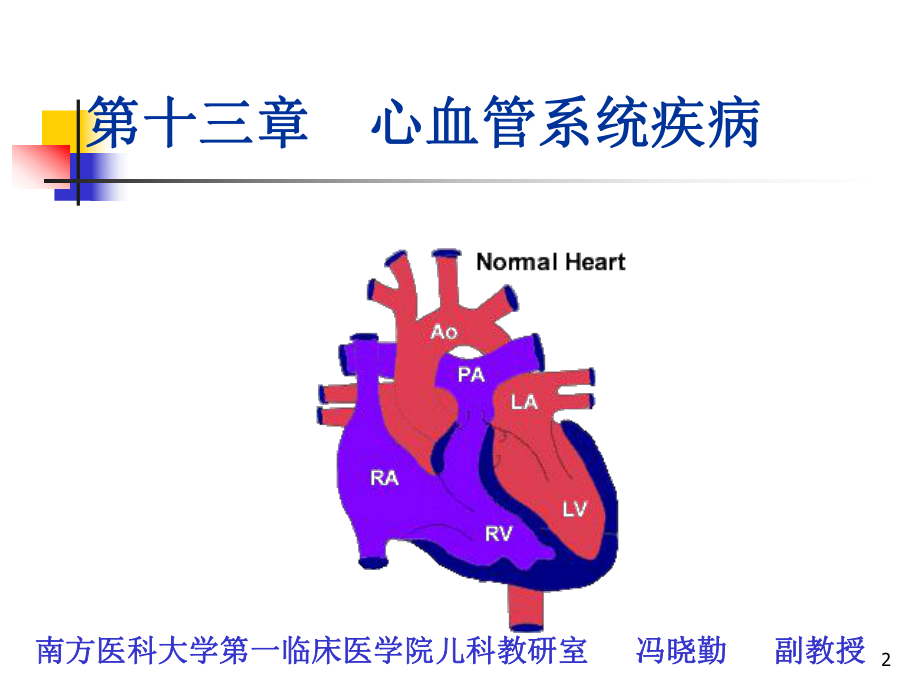 小儿循环系统疾病教学课件.ppt_第2页