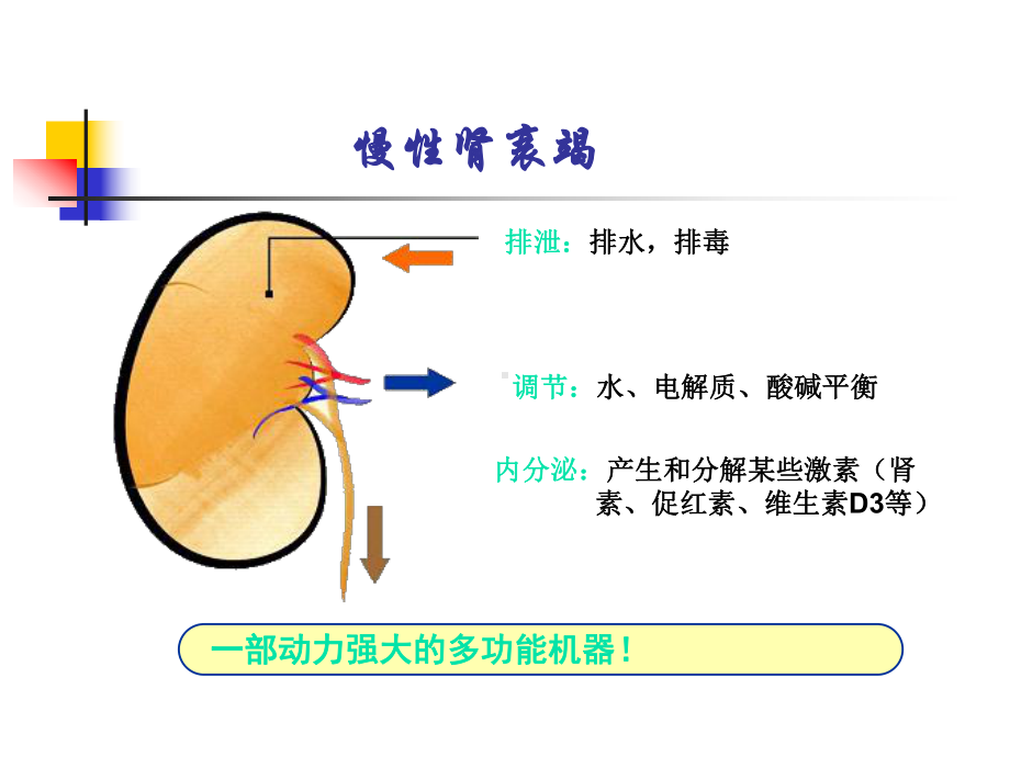 慢性肾衰竭（内科学课件）.ppt_第2页