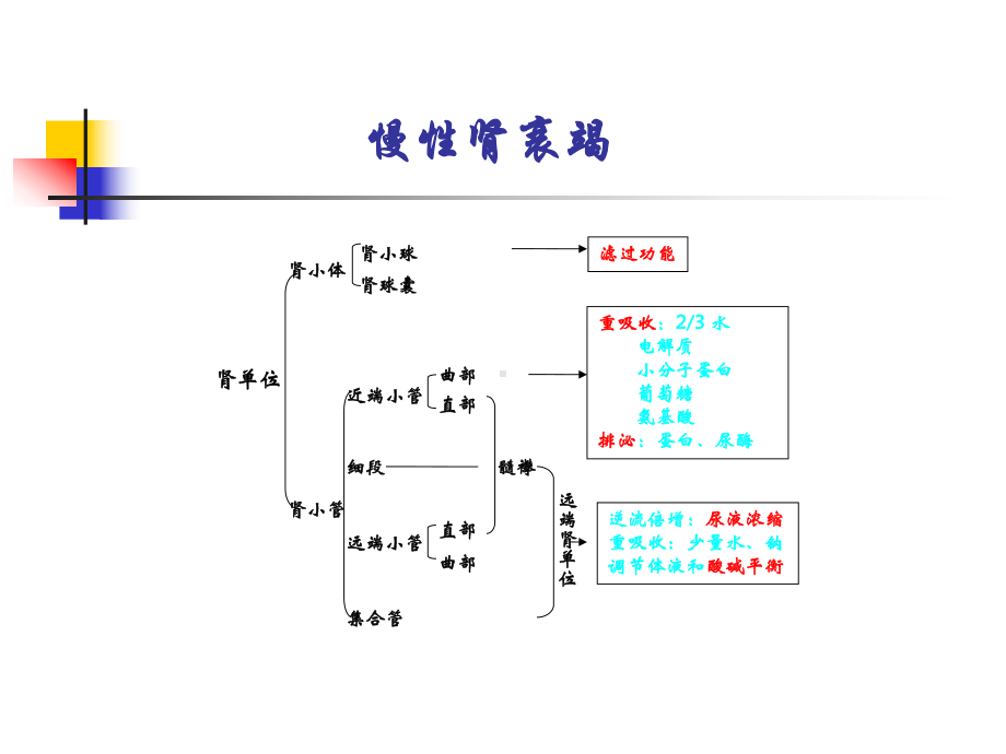 慢性肾衰竭（内科学课件）.ppt_第3页