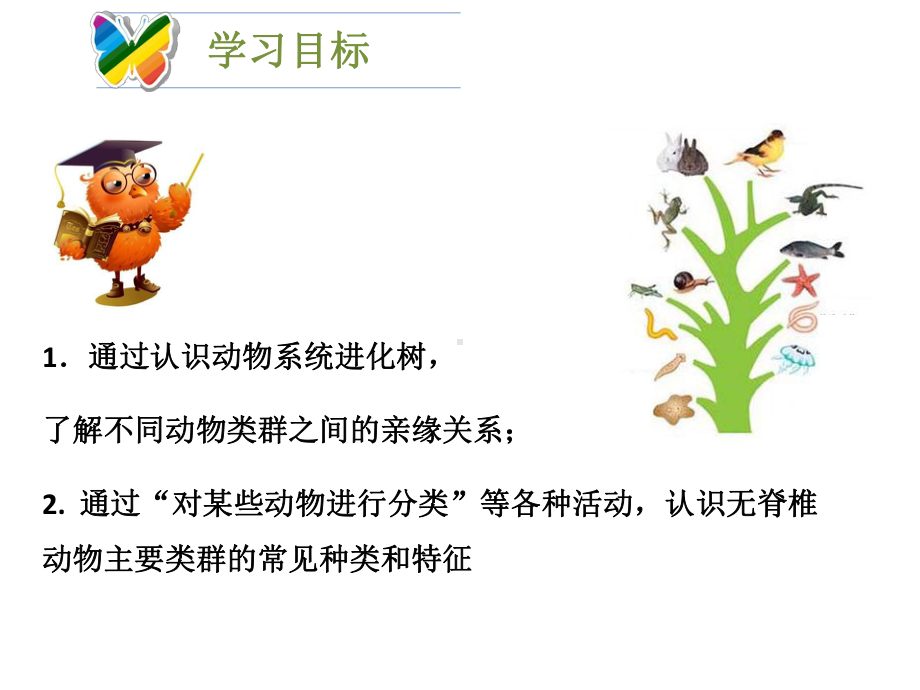 无脊椎动物演示教学课件.ppt_第2页