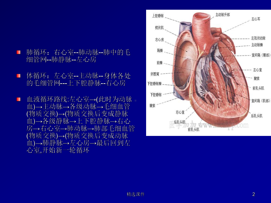 培训资料-先天性心脏病的介入术护理课件.ppt_第2页