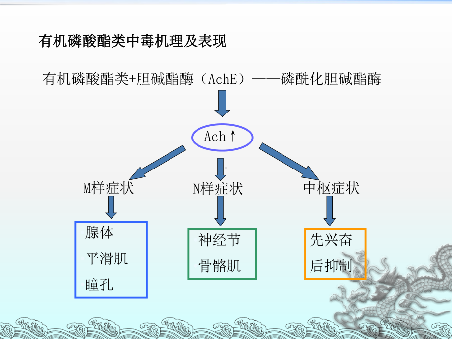 有机磷农药中毒及解救课件.ppt_第2页