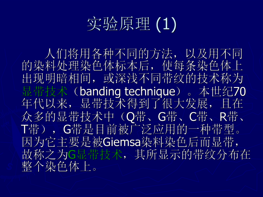 染色体G显带技术及其原理课件.pptx_第2页