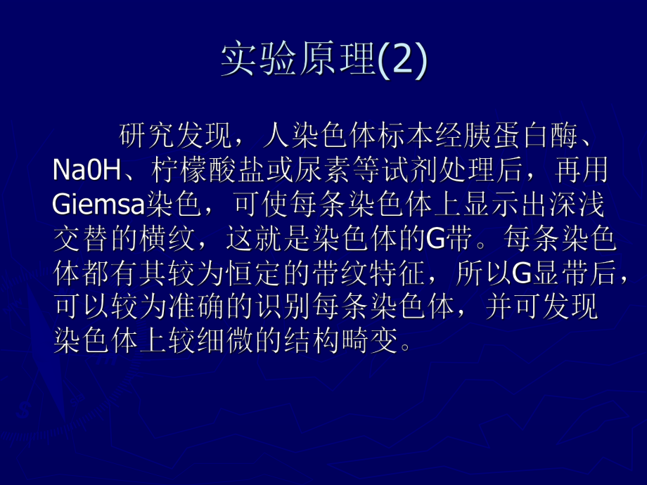 染色体G显带技术及其原理课件.pptx_第3页