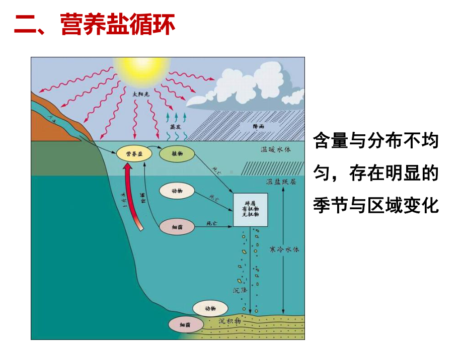 海洋营养元素课件.pptx_第3页