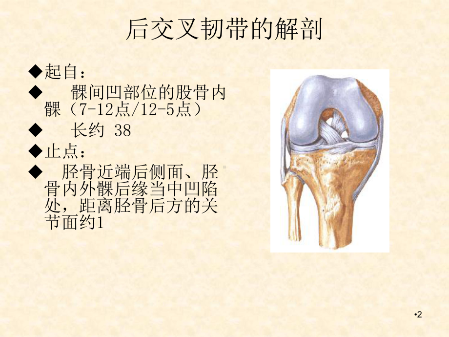 后交叉韧带损伤学习课件.ppt_第2页