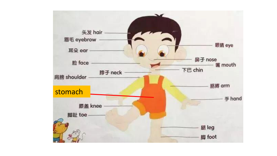 新人教版八年级英语下册第一单元复习课件备课讲稿.pptx_第2页