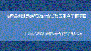 某县创建残疾预防综合试验区重点干预项目概述(课件).ppt