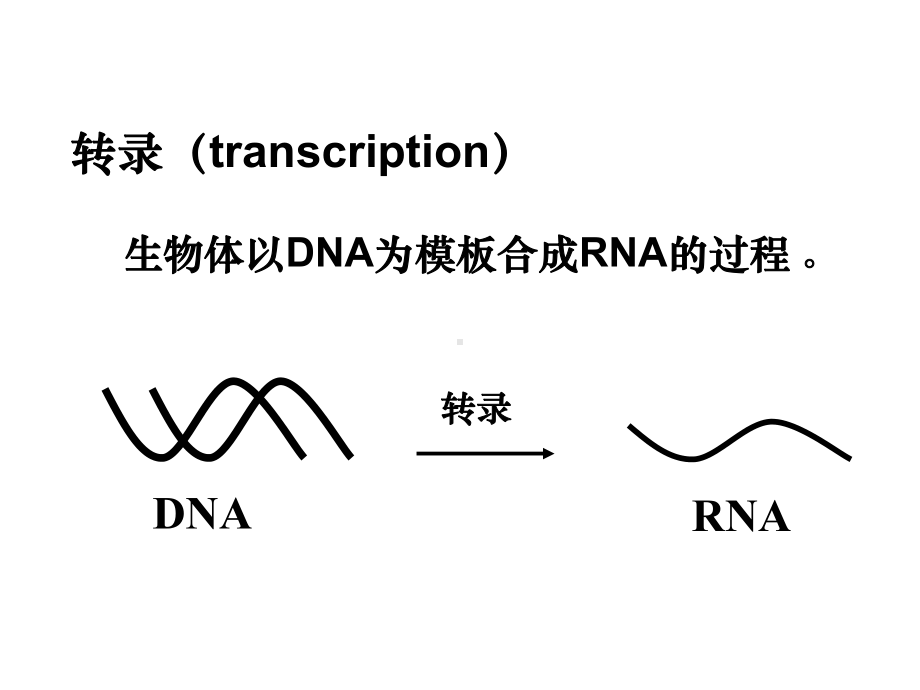 生物化学教案10课件.ppt_第1页