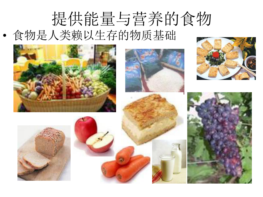 第二单元-提供能量与营养的食物课件.ppt_第2页