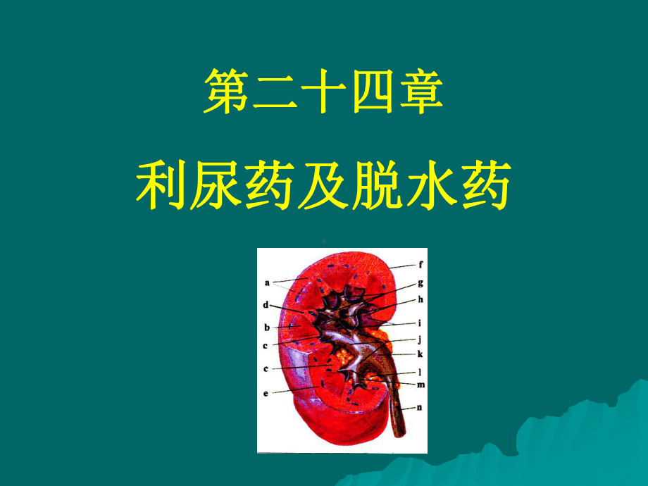 第二十四章-利尿药及脱水药课件.ppt_第1页