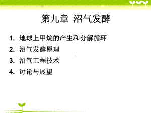 第九章沼气发酵课件.ppt