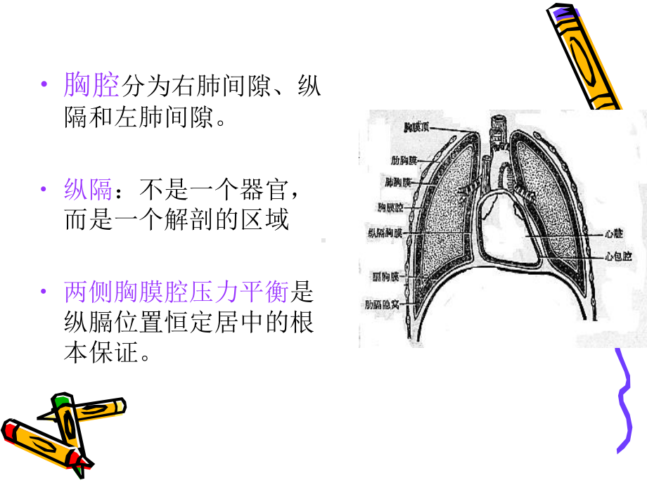 气胸、血胸病人的护理课件.ppt_第2页