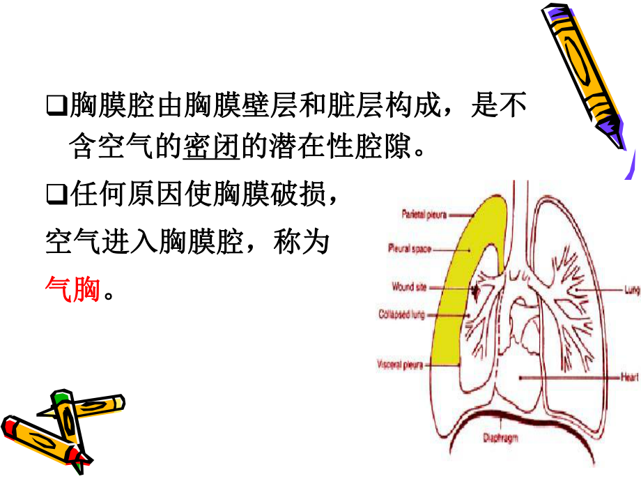 气胸、血胸病人的护理课件.ppt_第3页