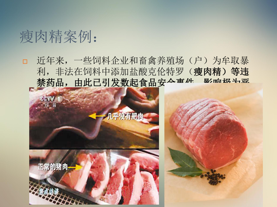 第七章第一节肉食品的质量管理课件.ppt_第3页