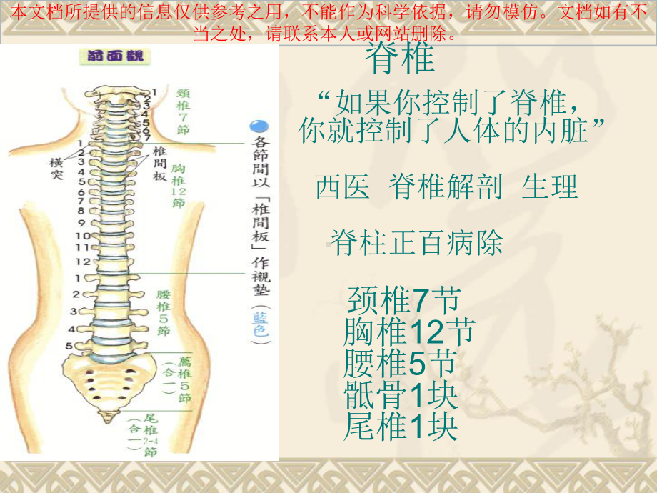 肩颈专业知识详解培训课件.ppt_第1页