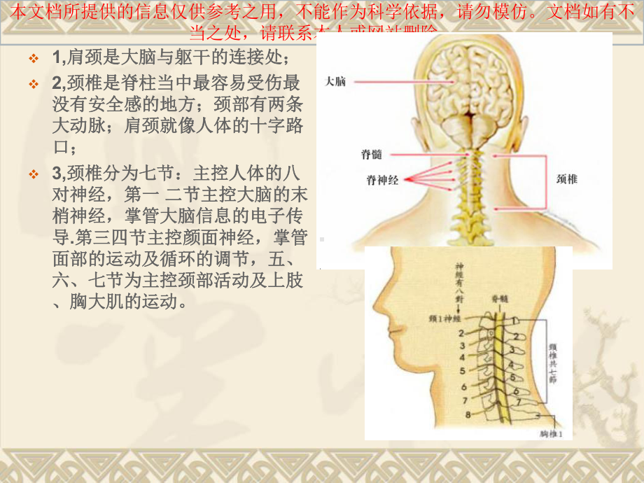 肩颈专业知识详解培训课件.ppt_第2页