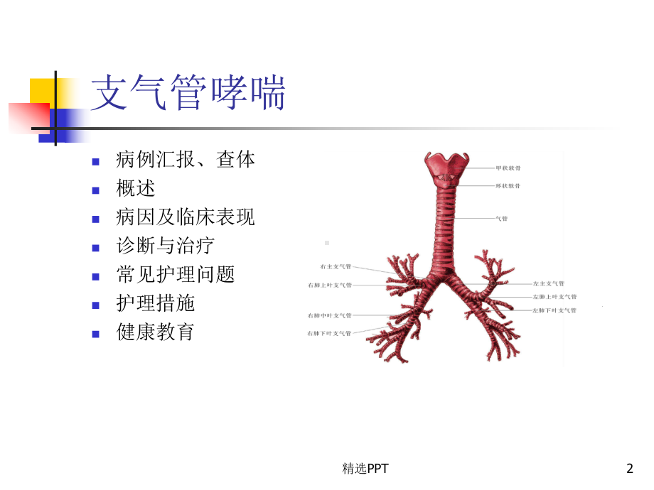 支气管哮喘教学查房课件.pptx_第2页