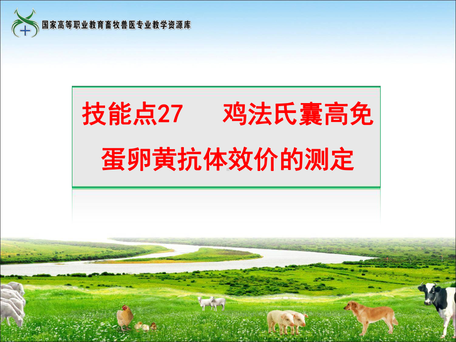 技能点27鸡法氏囊高免蛋卵黄抗体效价的测定课件.ppt_第1页