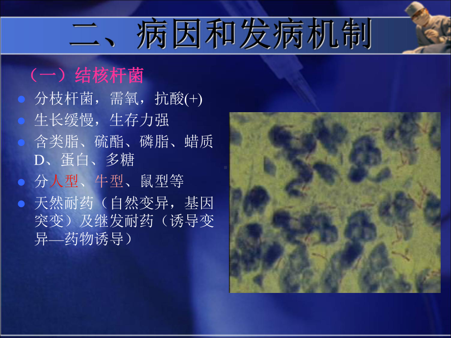 内科-肺结核病-课件.ppt_第3页