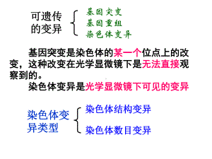 新授课课件第节染色体变异.ppt