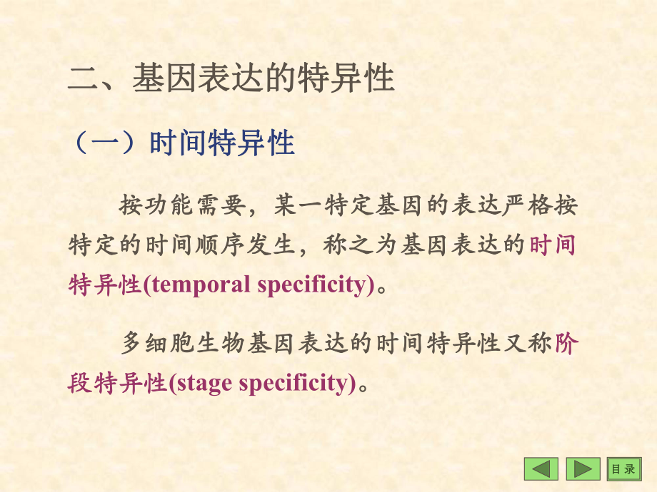 第13章基因表达调控修改课件.ppt_第3页