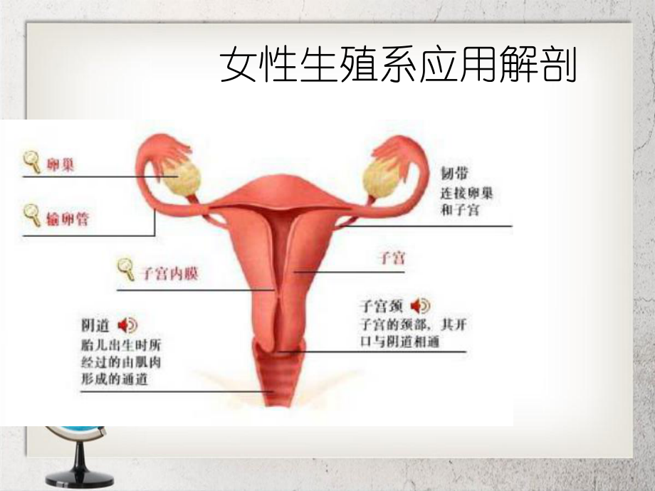 女性生殖系统放射诊断学和检查方法课件.ppt_第2页