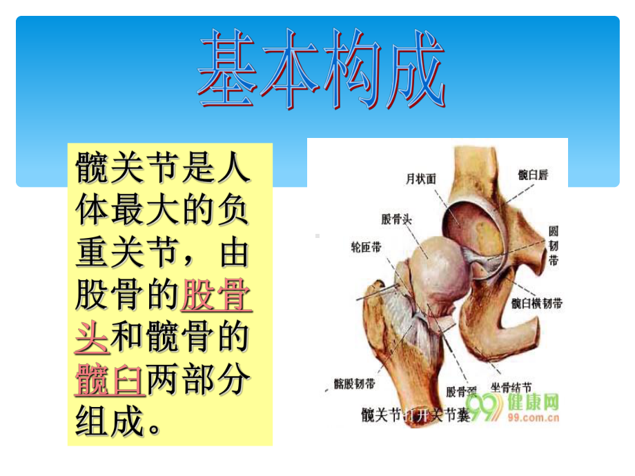 最新全髋关节置换术后护理查房课件.ppt_第2页